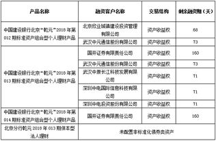 北京市分行投資管理的戰略定位與實施路徑